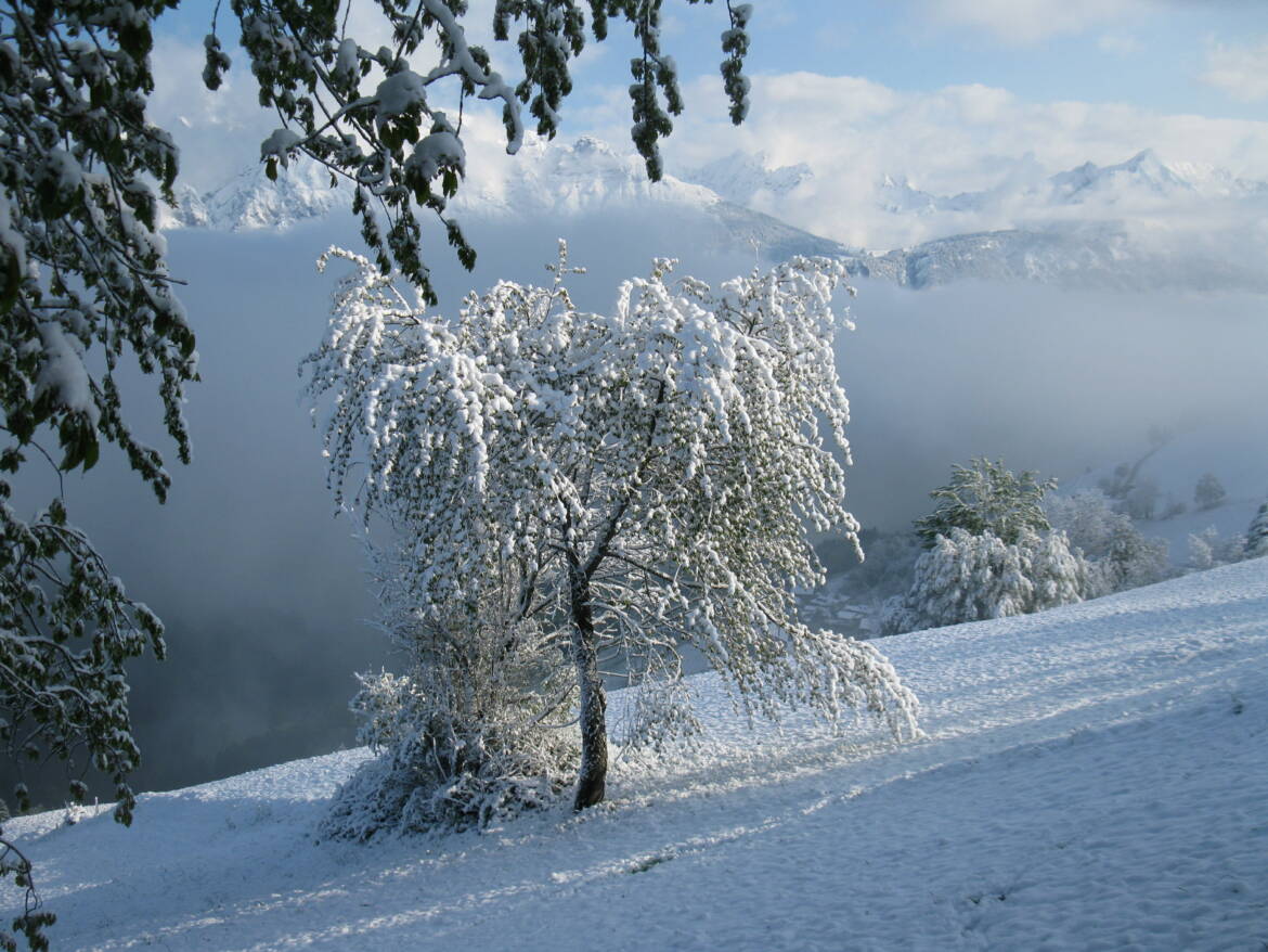 Wintereinbruch-17.-Mai-9.jpg